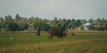 4 Ide Usaha yang Cocok Dijalankan di Desa selain Toko Sembako Mojok.co