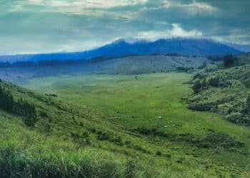 Bondowoso Tape, Kopi, dan Konser Dangdut di Tengah Sawah (Unsplash)