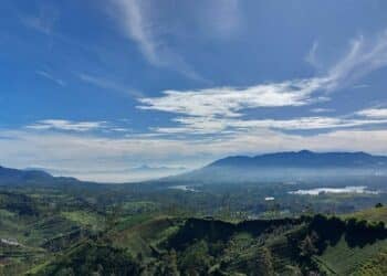 3 Oleh-oleh Khas Pangalengan Bandung yang Direkomendasikan Dibawa Pulang