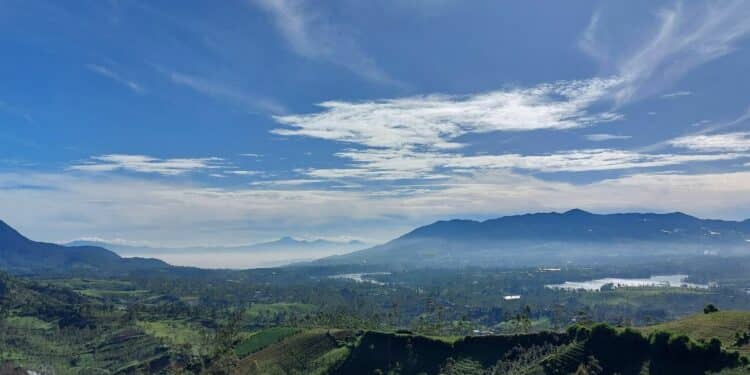 3 Oleh-oleh Khas Pangalengan Bandung yang Direkomendasikan Dibawa Pulang