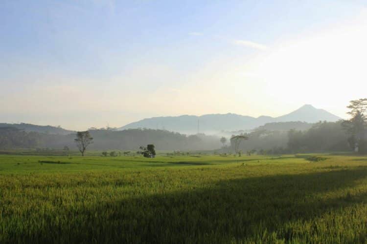 Nggak Semua Wilayah Kabupaten Temanggung Cocok buat Slow Living, Kecamatan Kranggan Buktinya