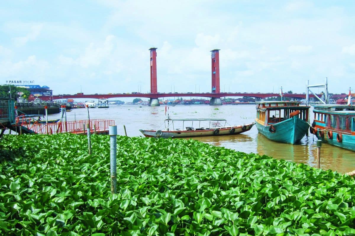 Tempat Wisata Palembang Yang Baiknya Dihindari Di Akhir Tahun