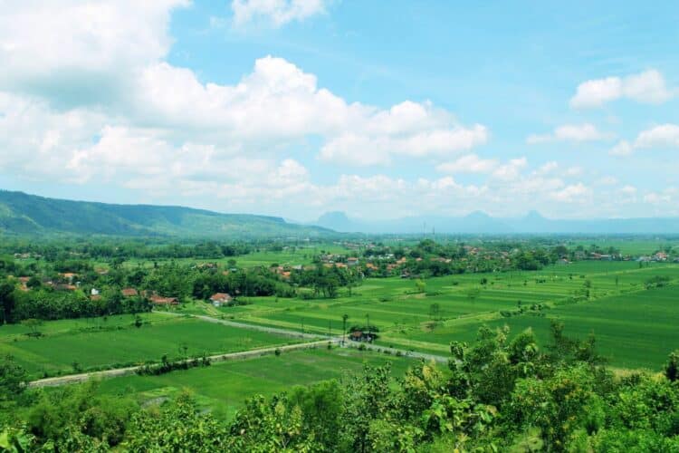 Trenggalek dan Tulungagung: Saudara yang Berbeda Nasib