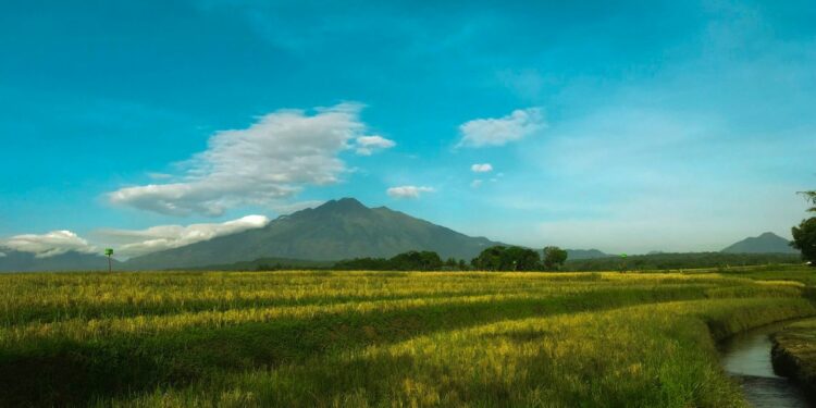 Jangan Jatuh Cinta dengan Orang Kabupaten Semarang, Kamu Nggak Akan Kuat!