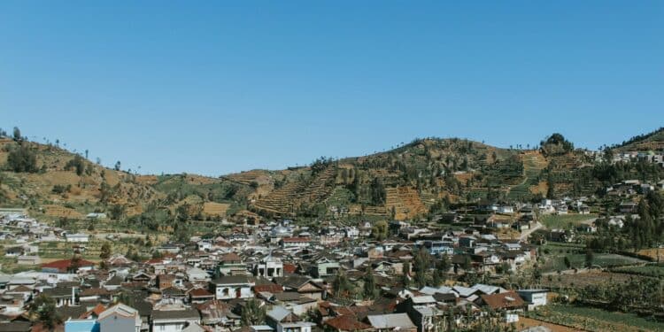 Oleh-Oleh Khas Wonosobo yang Sebaiknya Kalian Pikir Ulang Sebelum Membelinya Mojok.co