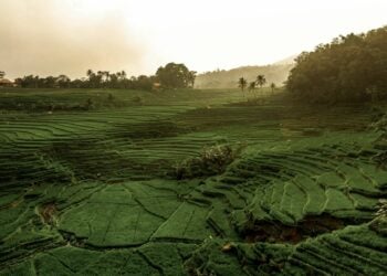 Alasan Orang Majalengka Menghindari Plesir ke Terasering Panyaweuyan Mojok.co