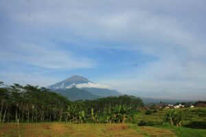 2 Mangli di Kabupaten Magelang Serupa tapi Tak Sama, Jangan sampai Terkecoh!