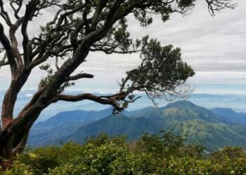 Blora, Kabupaten Kecil yang Sulit Menghargai Tokohnya