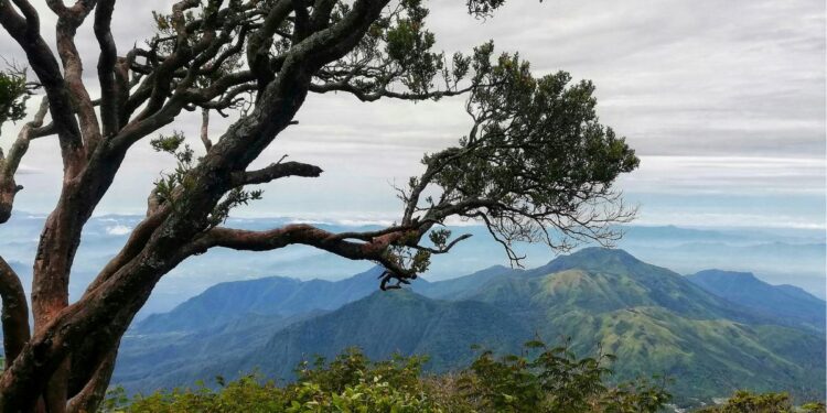 Blora, Kabupaten Kecil yang Sulit Menghargai Tokohnya