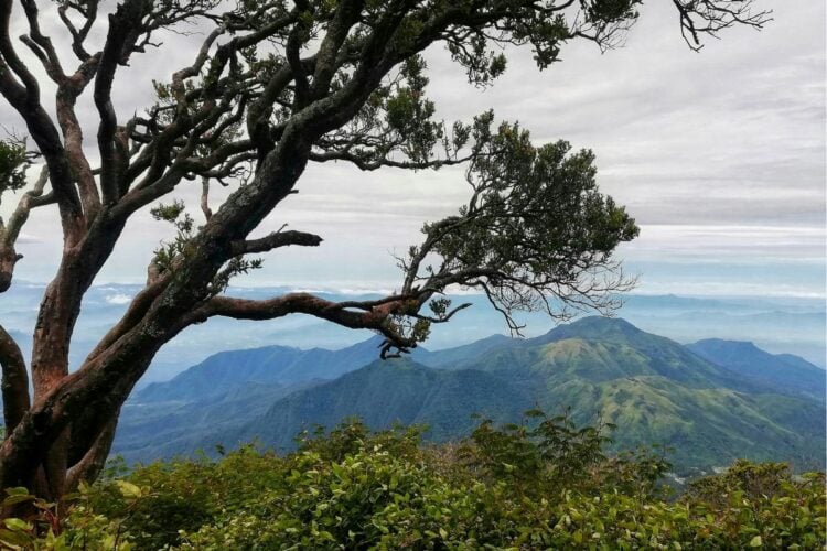 Blora, Kabupaten Kecil yang Sulit Menghargai Tokohnya