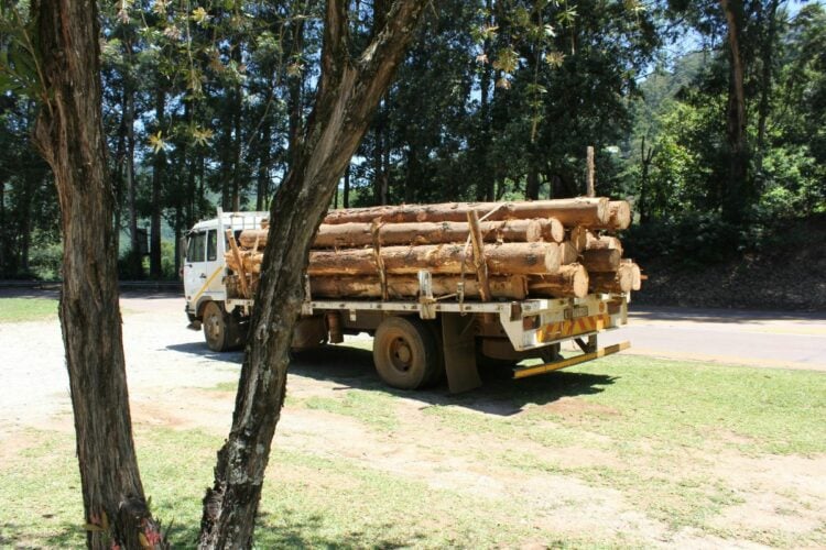 Jalur Banyuwangi-Jember Dipenuhi 5 Kendaraan Ini, Hindari kalau Nggak Ingin Celaka