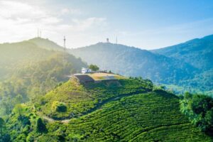 Liburan Ke Puncak Bogor Itu Sudah Keputusan yang Benar, Pemerintah lah yang (Selama Ini) Salah
