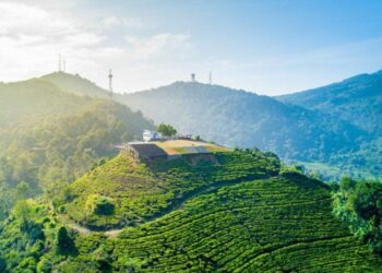 Ngapain sih (Masih) Nekat Berlibur di Puncak Saat Libur Panjang? Udah Jelas-jelas Bakal Macet Nggak Ngotak, Masih Aja ke Sana