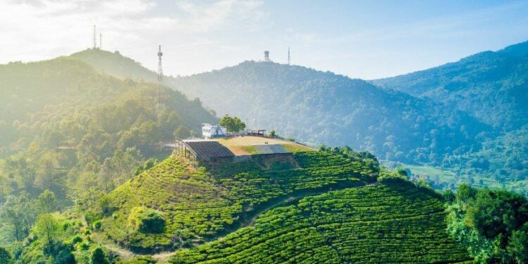 Ngapain sih (Masih) Nekat Berlibur di Puncak Saat Libur Panjang? Udah Jelas-jelas Bakal Macet Nggak Ngotak, Masih Aja ke Sana