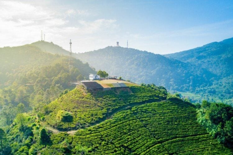 Ngapain sih (Masih) Nekat Berlibur di Puncak Saat Libur Panjang? Udah Jelas-jelas Bakal Macet Nggak Ngotak, Masih Aja ke Sana