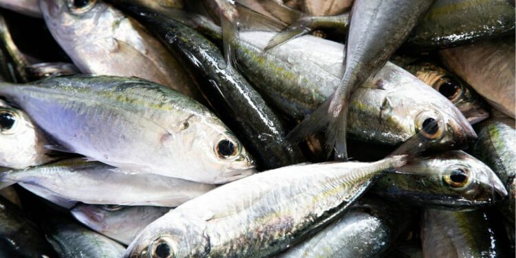 Membedah Alasan Kenapa Makanan Indonesia Timur Nggak Begitu Terkenal dan Kalah dengan Kuliner Lainnya