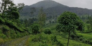 Pengalaman Mendaki Gunung Kembang Wonosobo, Gunung Terbersih di Indonesia