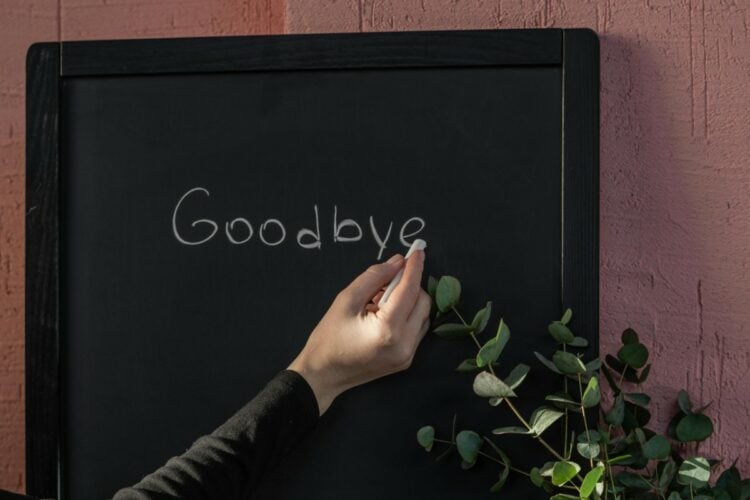 2 Hal yang Membuat Lulusan PPG Prajabatan Menjadi Tumbal (Pexels)