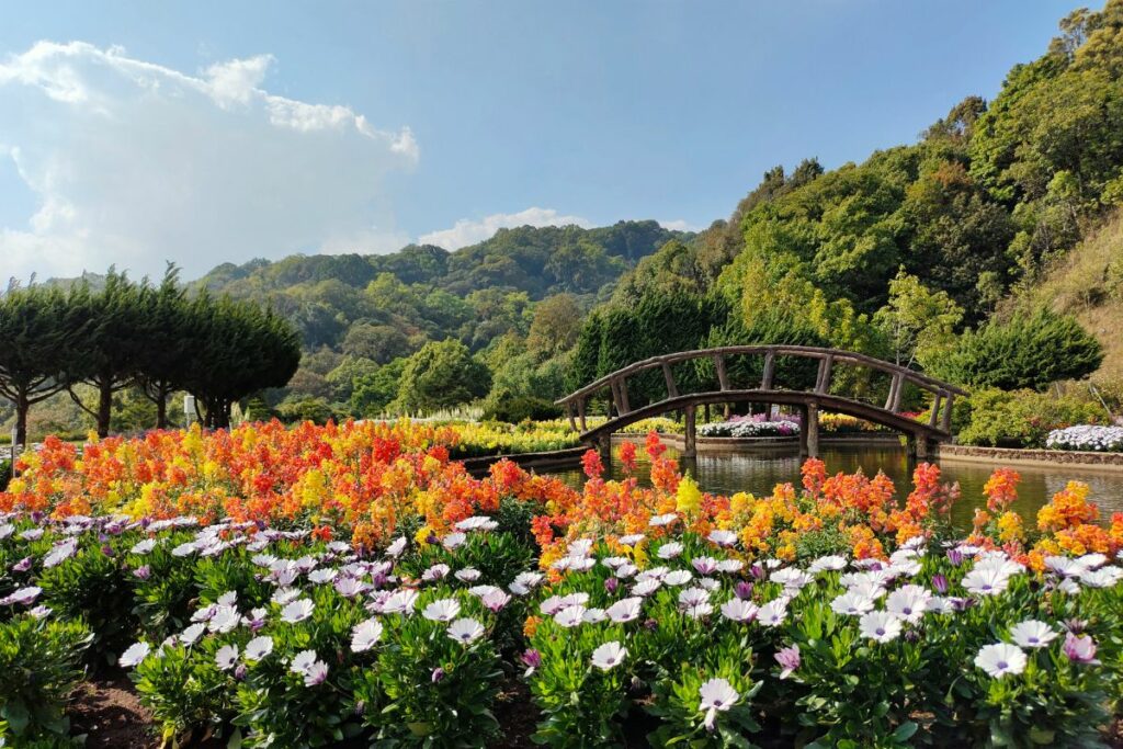 Florawisata Santerra de Laponte, Primadona Baru yang Bisa Menggusur Wisata Lain di Daerah Malang Raya