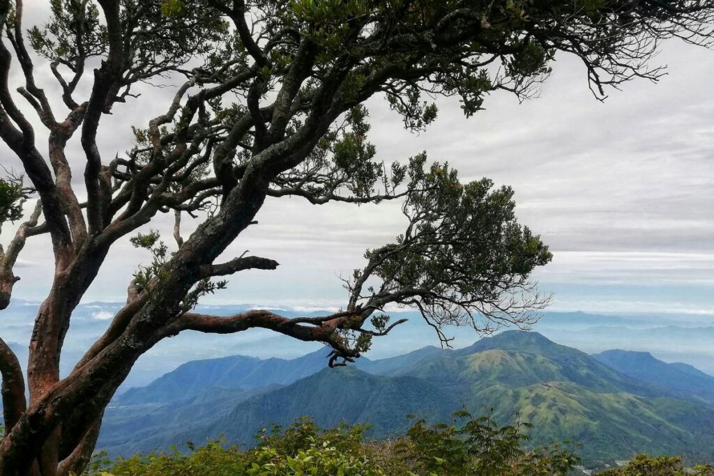 Blora Tetap Sulit Berkembang meski Sudah Ada Mixue, Bioskop, hingga Mie Gacoan