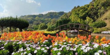 Taman Bunga Celosia Bandungan Memang Memesona, tapi Tak Cukup Ampuh Membuat Saya Kembali ke Sana
