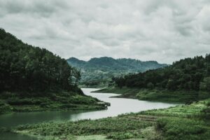 Dusun Memek Jombang: Ada Potensi Besar di Balik Nama Dusun yang Sering Viral Ini