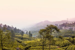 Bogor Dibenci Wisatawan Bukan karena Pemerintahnya, tapi Ulah Masyarakatnya Sendiri