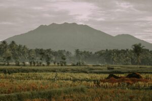 Alasan Saya Lebih Betah Tinggal di Kecamatan Kalibaru daripada Banyuwangi Kota yang Sempurna