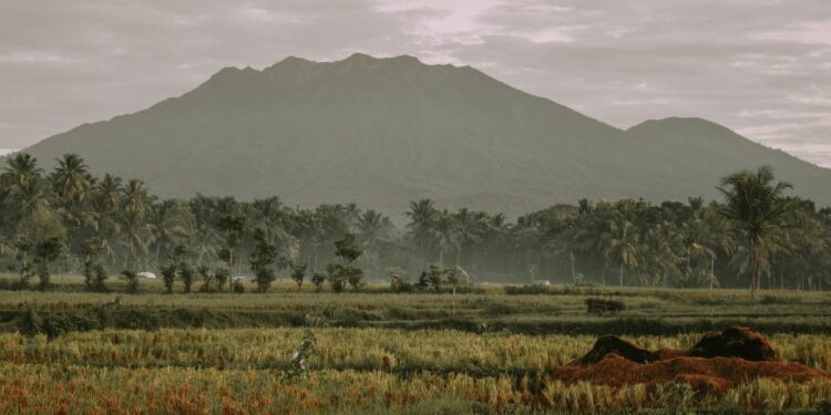 Alasan Saya Lebih Betah Tinggal di Kecamatan Kalibaru daripada Banyuwangi Kota yang Sempurna