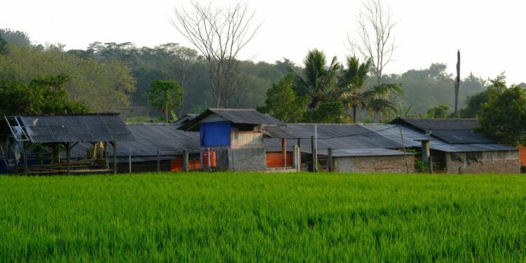 Kecamatan Singaparna, Tempat Terbaik untuk Menetap di Kabupaten Tasikmalaya