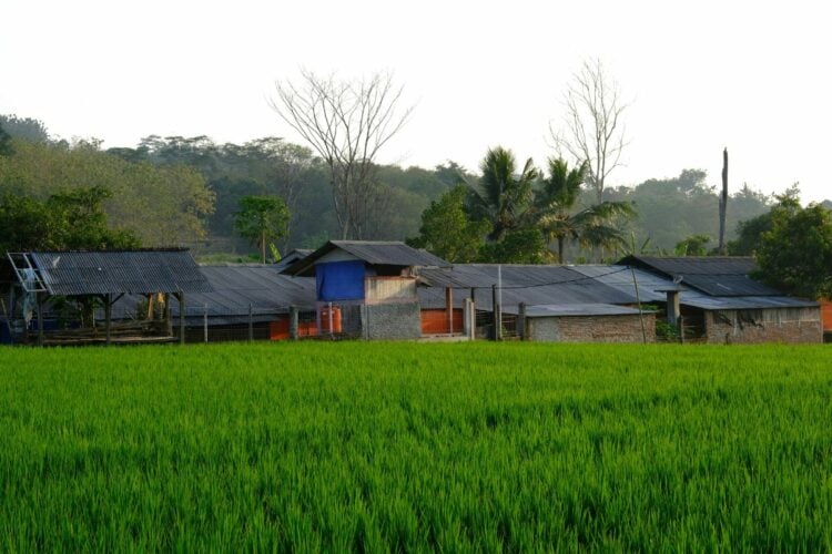 Kecamatan Singaparna, Tempat Terbaik untuk Menetap di Kabupaten Tasikmalaya