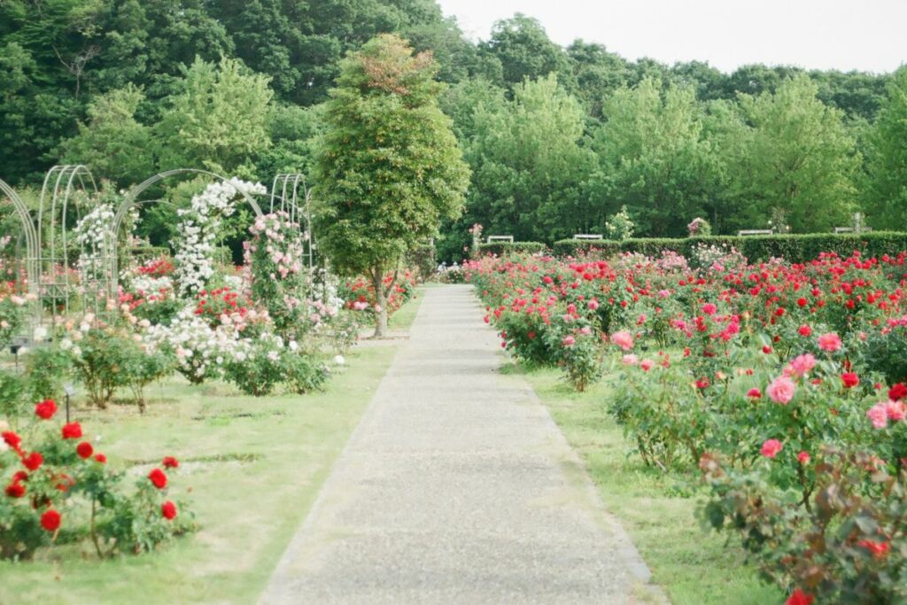 4 Hal yang Harus Disiapkan sebelum Berlibur Lebaran ke Cimory Semarang