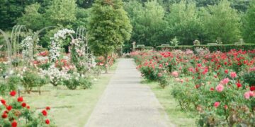 4 Hal yang Harus Disiapkan sebelum Berlibur Lebaran ke Cimory Semarang
