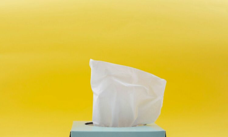 Tisu Indomaret vs Tisu Alfamart, Mana yang Lebih Berkualitas? Mojok.co