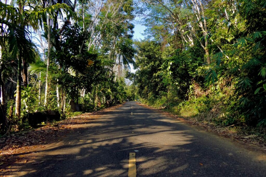Jalan di Blora Serbaguna: Rusak Jadi Kebun, Mulus buat Balapan