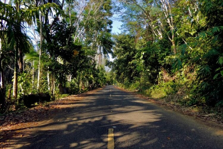 Jalan di Blora Serbaguna: Rusak Jadi Kebun, Mulus buat Balapan