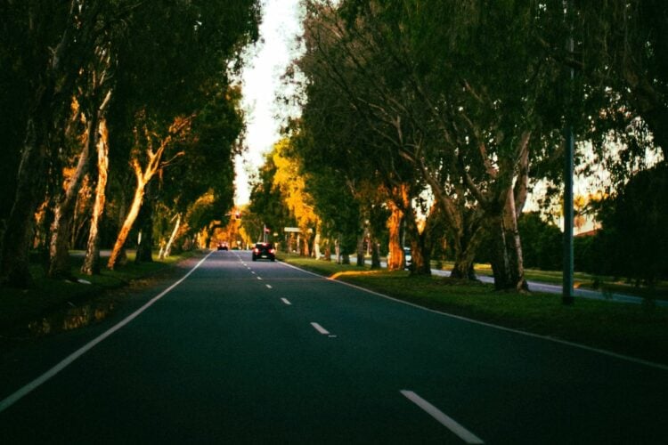 Dua Sisi Jalan Bina Marga Cipayung: Jalur Horor Sekaligus Destinasi Wisata Kuliner Jakarta Timur