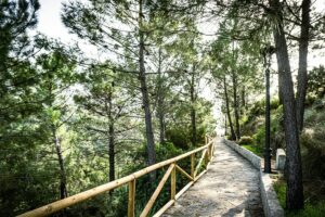 Bukit Seribu Besek, Tempat Healing Terbaik yang Dimiliki Purworejo