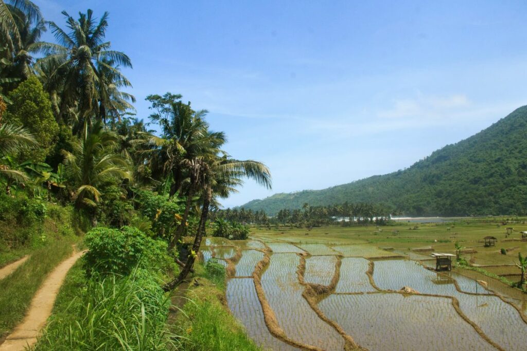 3 Hal Nggak Enaknya Tinggal di Trenggalek