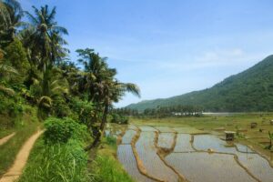 3 Hal Nggak Enaknya Tinggal di Trenggalek