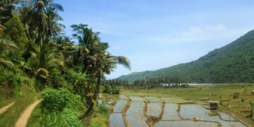 3 Hal Nggak Enaknya Tinggal di Trenggalek