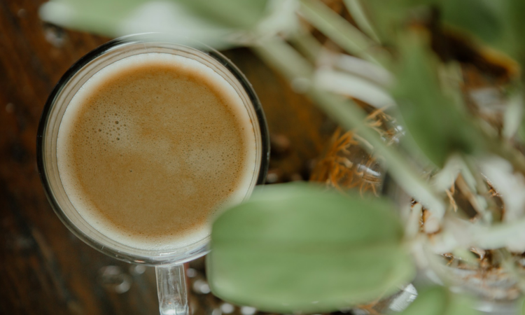 3 Perbedaan Tuku Jogja dan Tuku Jakarta, Saya Tulis Biar Orang-orang Nggak Kaget Mojok.co