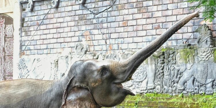 Bali Zoo Bali, Kebun Binatang untuk yang Mampu-mampu Aja Mojok.co