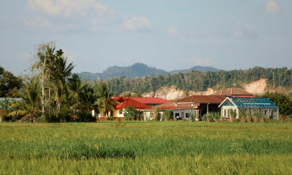 3 Penderitaan Punya Rumah Dekat Sawah yang Nggak Disadari Kebanyakan Orang Kota Mojok.co