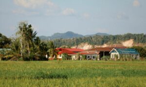 3 Penderitaan Punya Rumah Dekat Sawah yang Nggak Disadari Kebanyakan Orang Kota