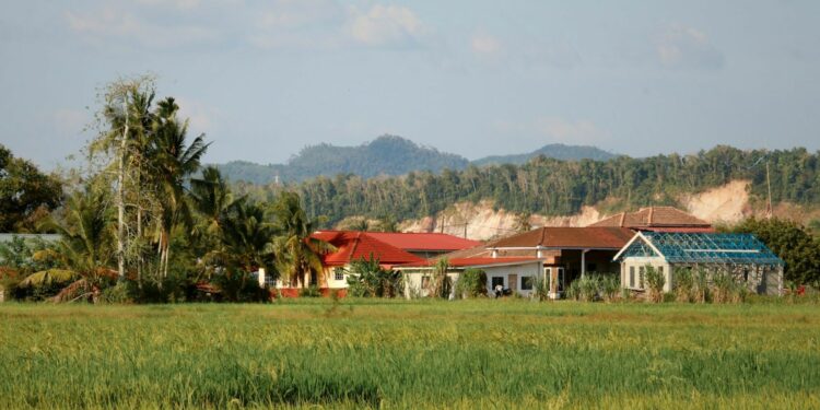 3 Penderitaan Punya Rumah Dekat Sawah yang Nggak Disadari Kebanyakan Orang Kota Mojok.co