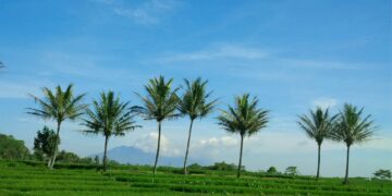 Tengaran Kulon Semarang Cocok untuk Slow Living asal Bisa Berdamai dengan Jalannya yang Bobrok Mojok.co