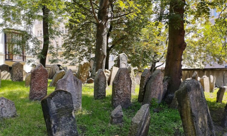 4 Keuntungan Punya Rumah Dekat Kuburan yang Jarang Disadari Orang Mojok.co