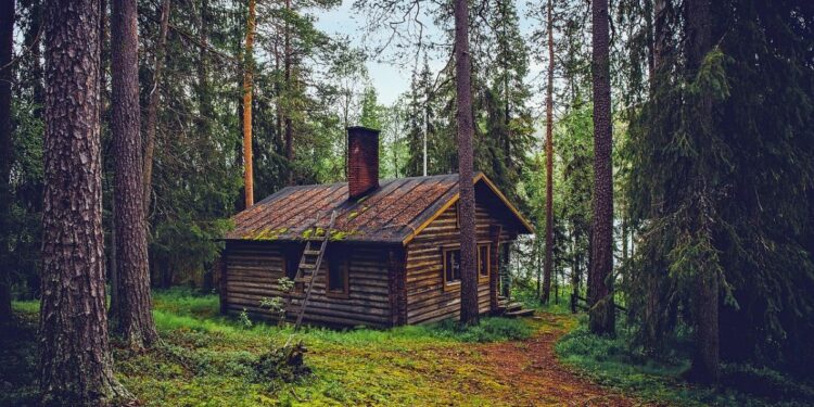 4 Hal yang Bikin Punya Rumah Dekat Hutan Itu Nggak Enak, Salah Satunya Adalah Harus Siap Bertarung dengan Monyet!