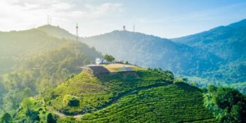Puncak Bogor, Kawasan Wisata yang Nggak Ramah Kendaraan (Akhmad Dodi Firmansyah via Shutterstock.com)
